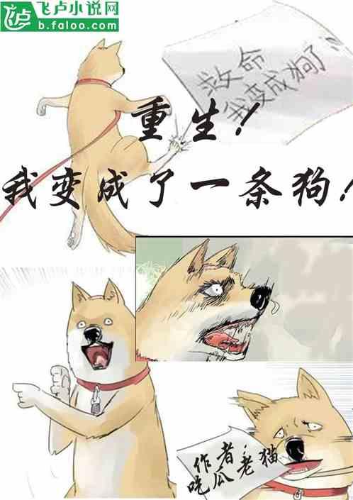 吃瓜吃惊小说,揭秘吃瓜群众的惊人秘密