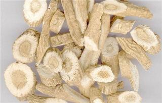 吃佛手瓜能喝板蓝根吗